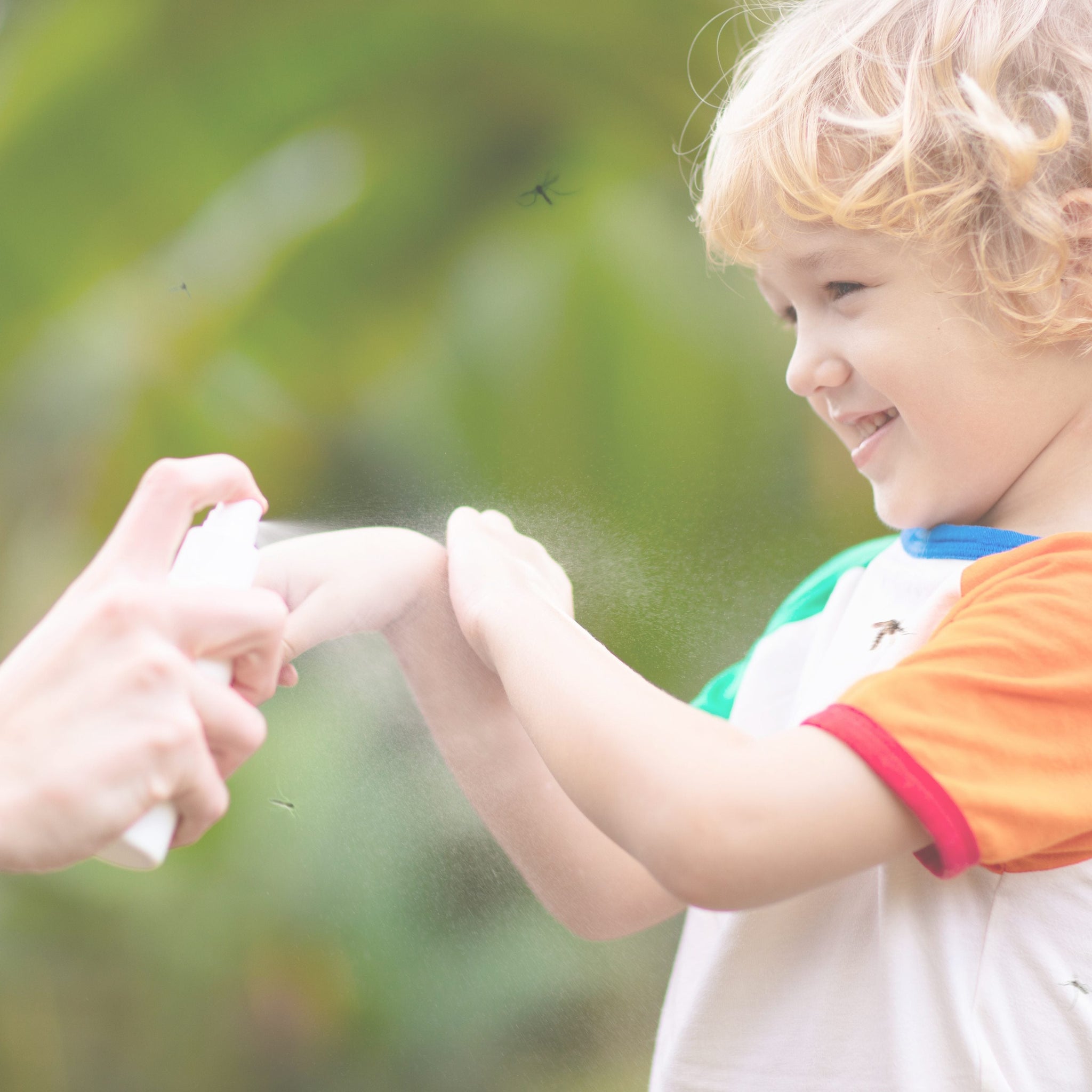 Protection & Hygiene