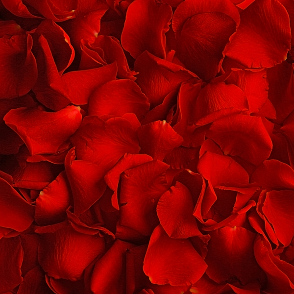 Vitamin C - 2025-06-03T175840.567.png__PID:e7fffbe1-685c-403c-a32d-2921f29bb248